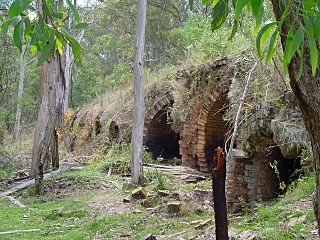 Newnes ruins 1