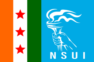 Nsui flag.png