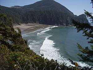 Oswald west state park beach from cape falcon P2467