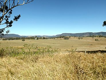 Paddocks Royston Queensland.jpg