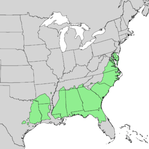 Pinus taeda distribution map.png