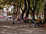 Plaza Pinto