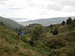 Puck's Glen from above