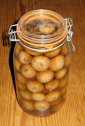 Rew13d10-805 Pickled Onions.JPG