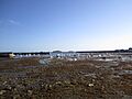 Roscoff Harbour