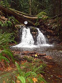 Rustic falls Moran State Park WA