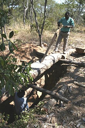 Sawmill Kalomo