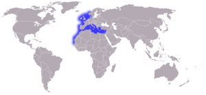 Scyliorhinus canicula distribution map.png