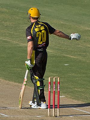 Shaun Marsh 2010