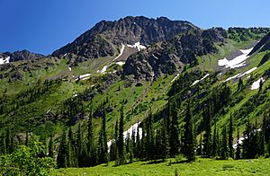 Snowgrass Mountain green