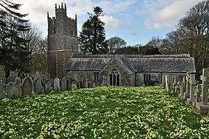 St Martin by Looe Church.jpg