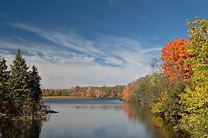 The Crowe River1