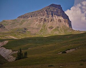 Uncompahgre Peak (20633459068)