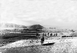 ViewFromPomonaPark1904