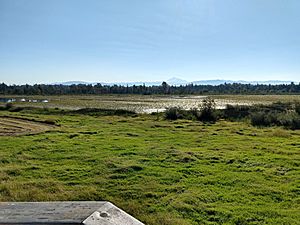 View from tower