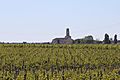 Vignoble de Pauillac