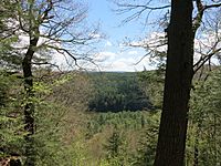 Wilgus State Park Pinnacle View