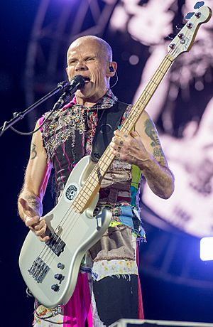 2016 Red Hot Chili Peppers - Michael Flea Balzary (cropped).jpg