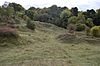 Aston Clinton Ragpits