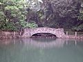 Baño Grande, Río Grande, Puerto Rico