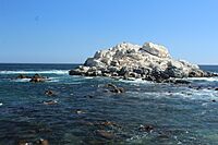 Beach near Reñaca 1