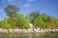 Beach of Nanumea Atoll