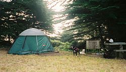 Bicentennial Campground San Francisco