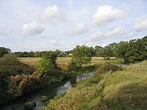 Blythe Valley - geograph.org.uk - 65387