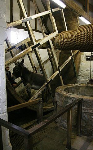 Carisbrooke Castle well house 3