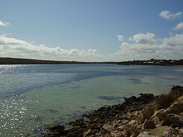 Coffin Bay Channel South Australia.JPG