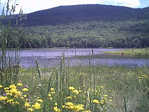 Colgate Lake East Kill