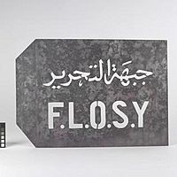 FLOSY large.jpg