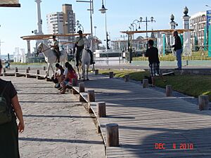 Iquique Mounted Police