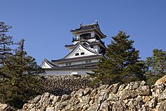 Kochi Castle04s3872