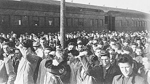 Lackland recruits Korean War 1951