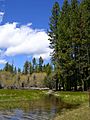 Lassen Manzanita Lake