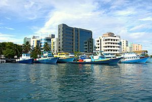 Maldives Monetary Authority