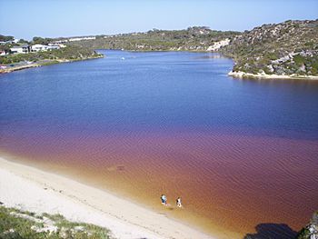 Moore River Estuary.JPG