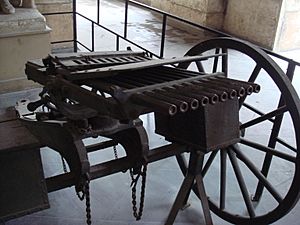 Nordenfelt machine gun 10 barrels.jpg