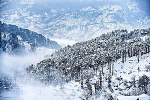 Patnitop in Winters