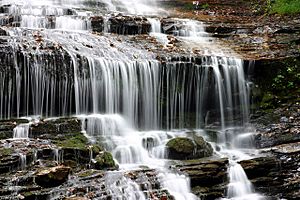 Pearson's Falls Pacolet River