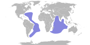 Pterodroma arminjoniana map.svg