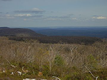 Red rock mountain.jpg