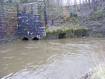 River Roch, Heywood, Rochdale.jpg