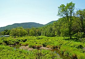 Schoharie Creek headwaters