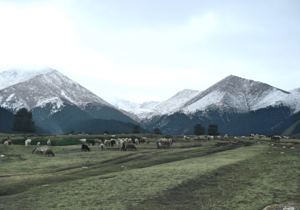 Shirenzigou panorama