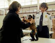 TSA Service Monkey