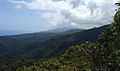 Ultrabasic forests above 1200 m at Barangay Diddadungan - ZooKeys-266-001-g006