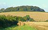 View to Milldown Wood - geograph.org.uk - 1006505.jpg