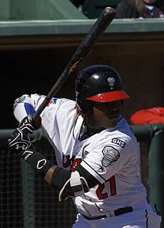 Vladimir Guerrero Jr. 2017